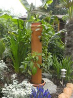 /album/fotogalerie-salatbaum/bild1291-jpg/