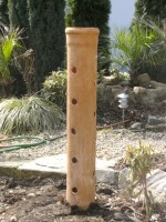 /album/fotogalerie-salatbaum/bild1135-jpg/